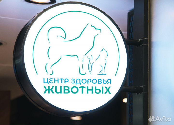 Графический дизайнер / Разработка логотипа