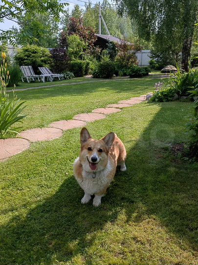 Дом 180 м² на участке 10 сот.