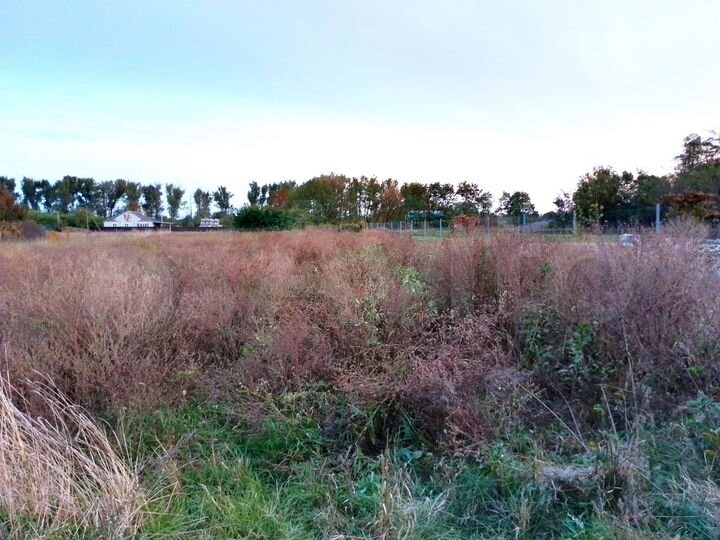 Участок 30 сот. (ИЖС)