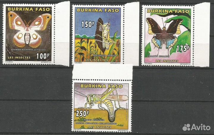 Буркина Фасо. Бабочки, Кузнечики, Насекомые