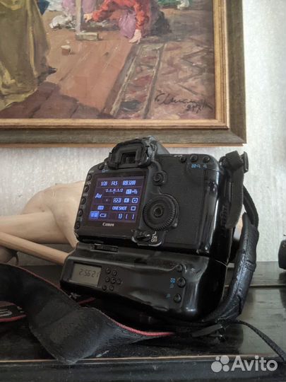 Canon 5d mark ii + canon 24-105l