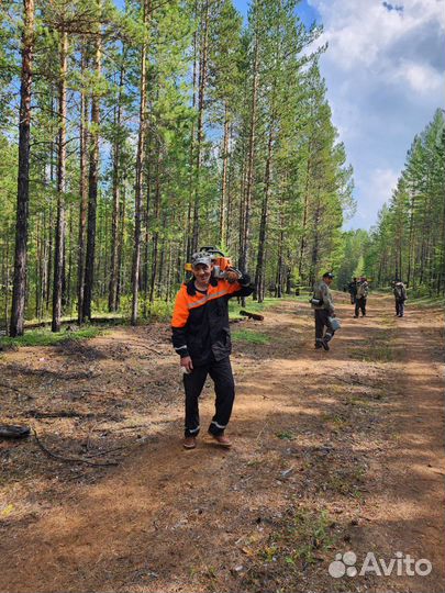 Лесовосстановление, расчистка просек, площадок, вы