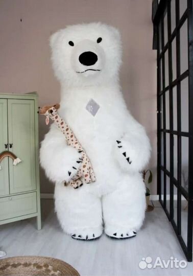 Белый медведь