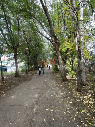 Для парикмахера