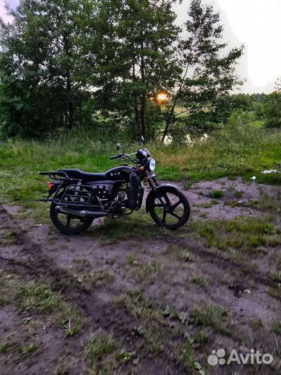 Альфа охотник