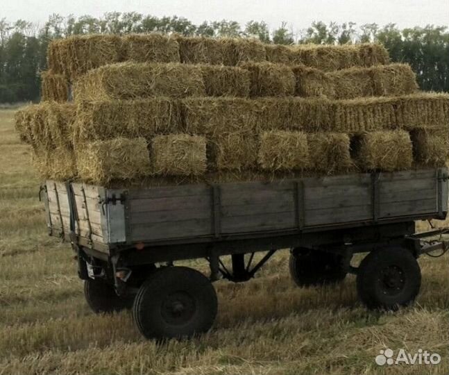 Продам сено в тюках