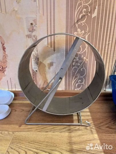 Колесо для животных