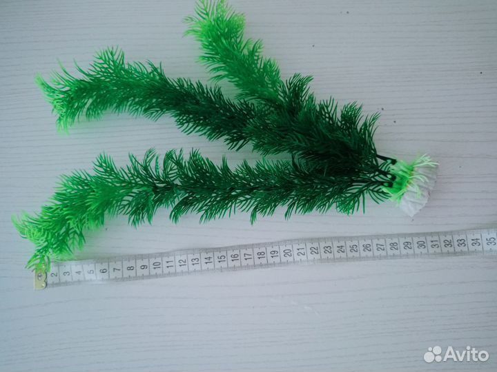 Для аквариума