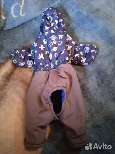 Одежда для маленьких собак, мальчиков