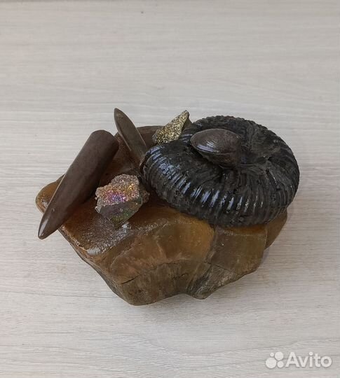 Композиция на симбирците 2 