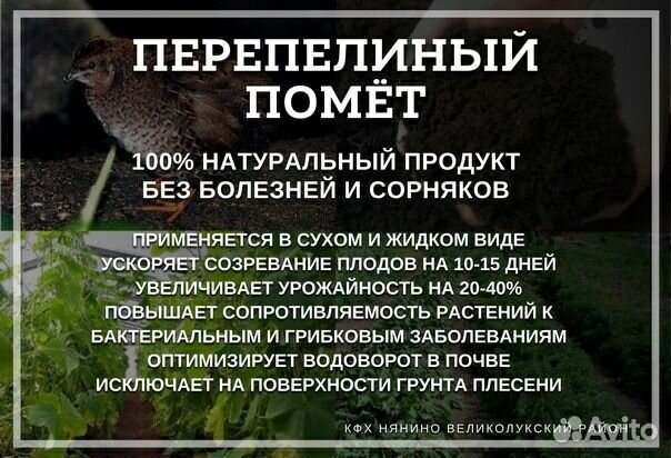 Перепелиный помет