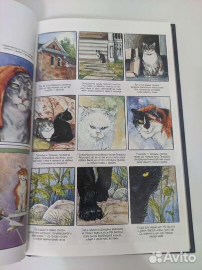 Комикс Создания Ночи. Нил Гейман