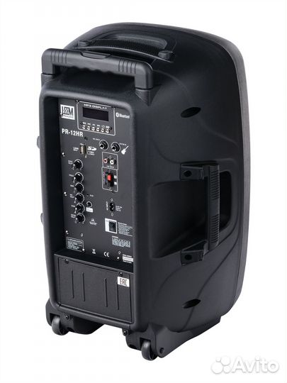 Акустическая система с 2 микрофонами, Leem PR-15HR