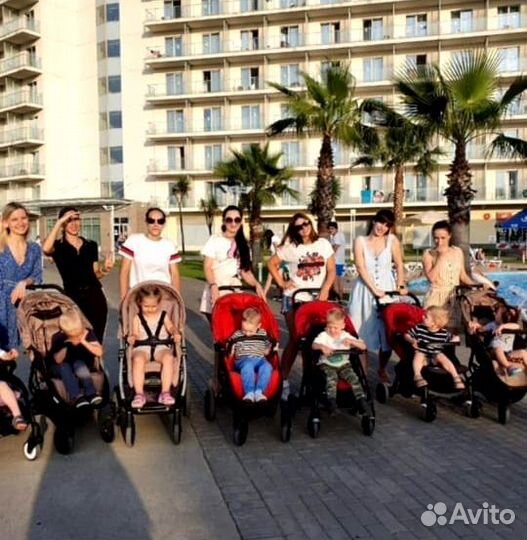 Коляска Аренда Прокат Продажа Diarest Babalo