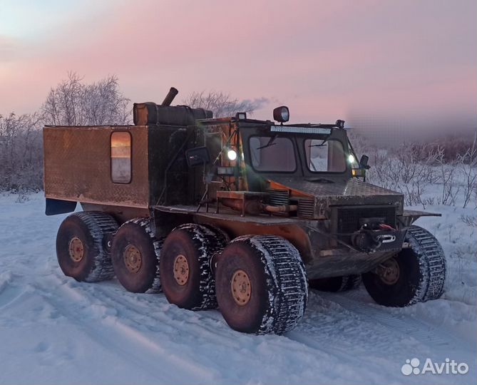 Снегоболотоход 
