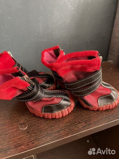 Ботинки для собак