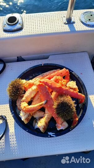 Ловля трески в мере