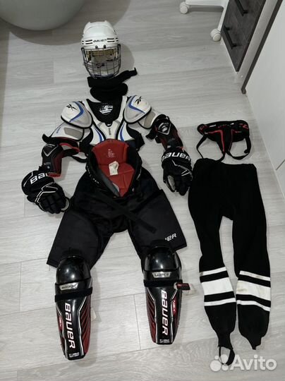 Ракушка хоккейная