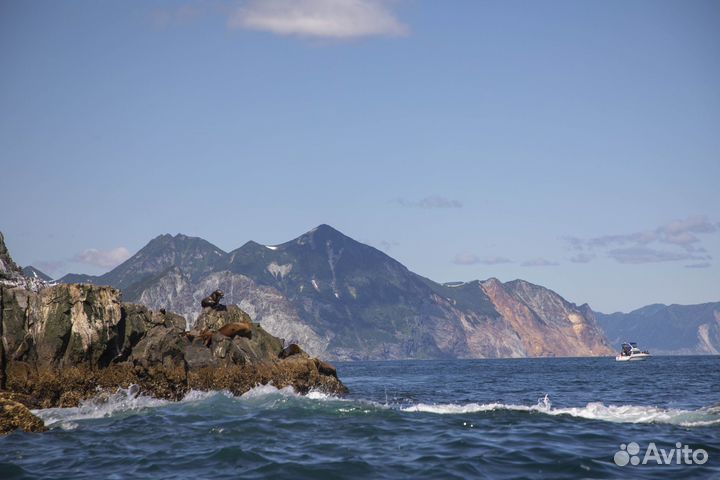 Фотоаппарат canon 5D mark 4