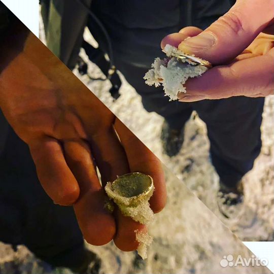 Металлопоиск, аренда металлоискателя с оператором