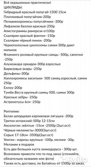 Прайс аквариумных рыбок