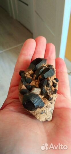 Природные камни, минералы, ракушки и другое