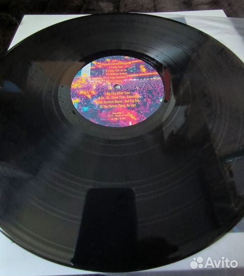 Виды Рыб - Фестиваль FLP 23, 2023 ltd 50