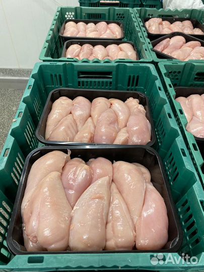 Филе куриное, Шаурма, крыло, оптом Халяль. гост