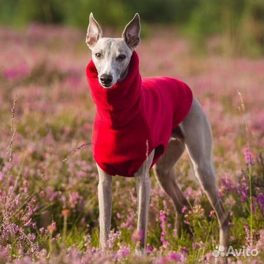 Жилетка флисовая для собак