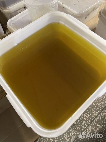 Мёд свежий оптом. Цветочный, качка 2023г