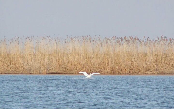 Дача 25 м² на участке 4 сот.