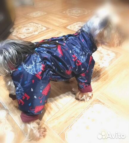 Пошив одежды для маленьких собачек