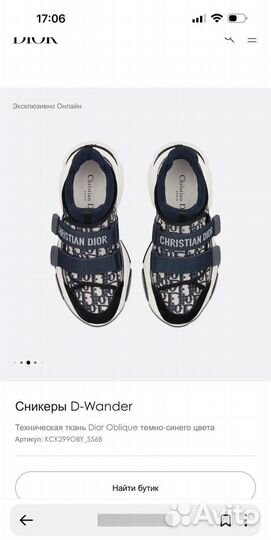 Кроссовки Dior D-Wander