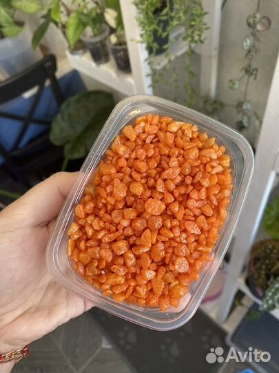 Декор для флорариума