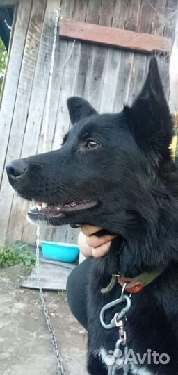 Хотим Домой, одна девочка