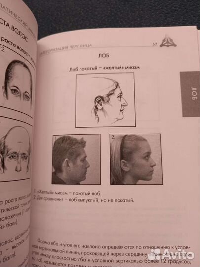 Бентли Гомеопатический анализ черт лица