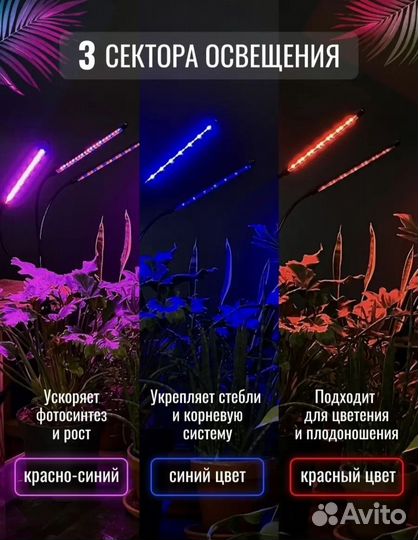Фитолампа для растений
