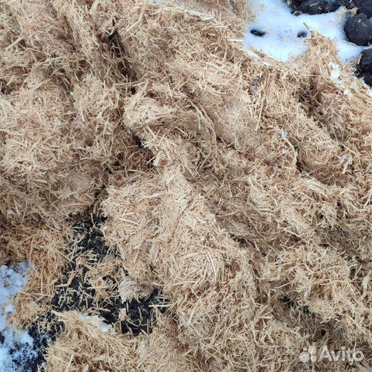 Грибные блоки вешенка