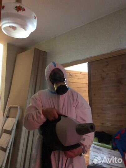 Дезинфекция квартир Уничтожение тараканов клопов м