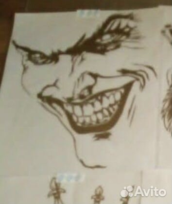 Голуби Высоколетные