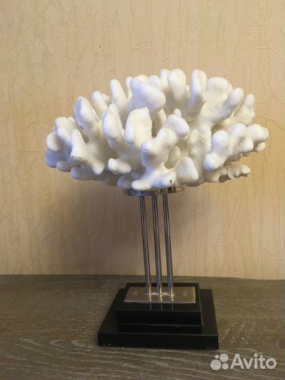 Коллекционное издание