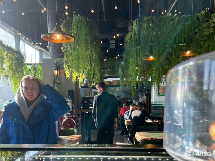 Готовый бизнес. Пиццерия в торговом центре