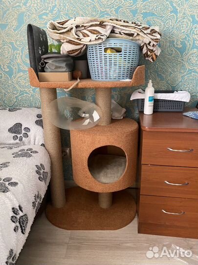 Домик для кошки с когтеточкой новый