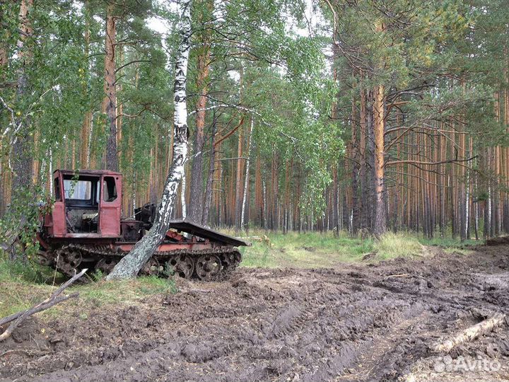 Требуеться бригада для заготовки леса