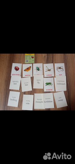 Раздаточные карточки. Английский язык