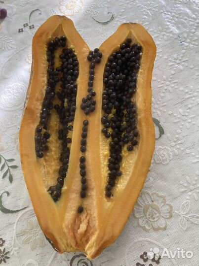 Папайя, гуаява, сизигум