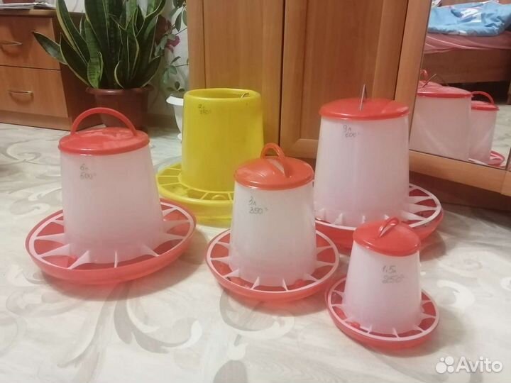 Кормушки и поилки для домашних птиц