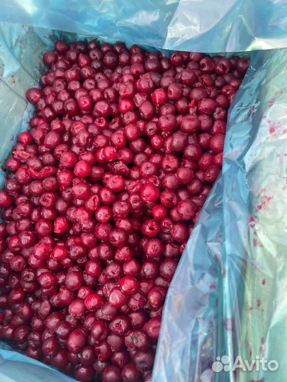 Вишня без косточки замороженная