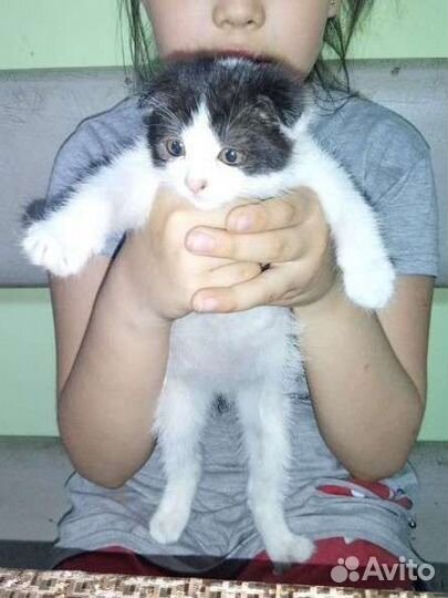 Красивая малышка кушает, лоток знает