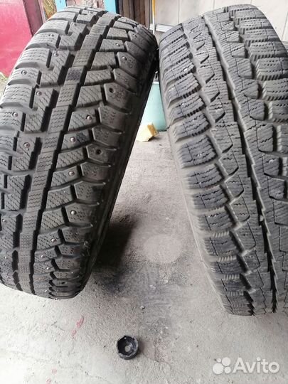 Cordiant Polar SL 185/65 R14